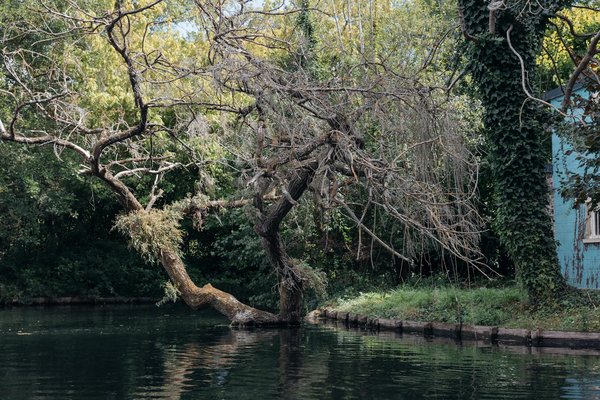 Tenir le stress à distance pour prévenir les maladies