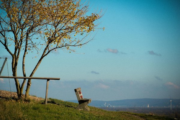 Sante Interactions Familiales